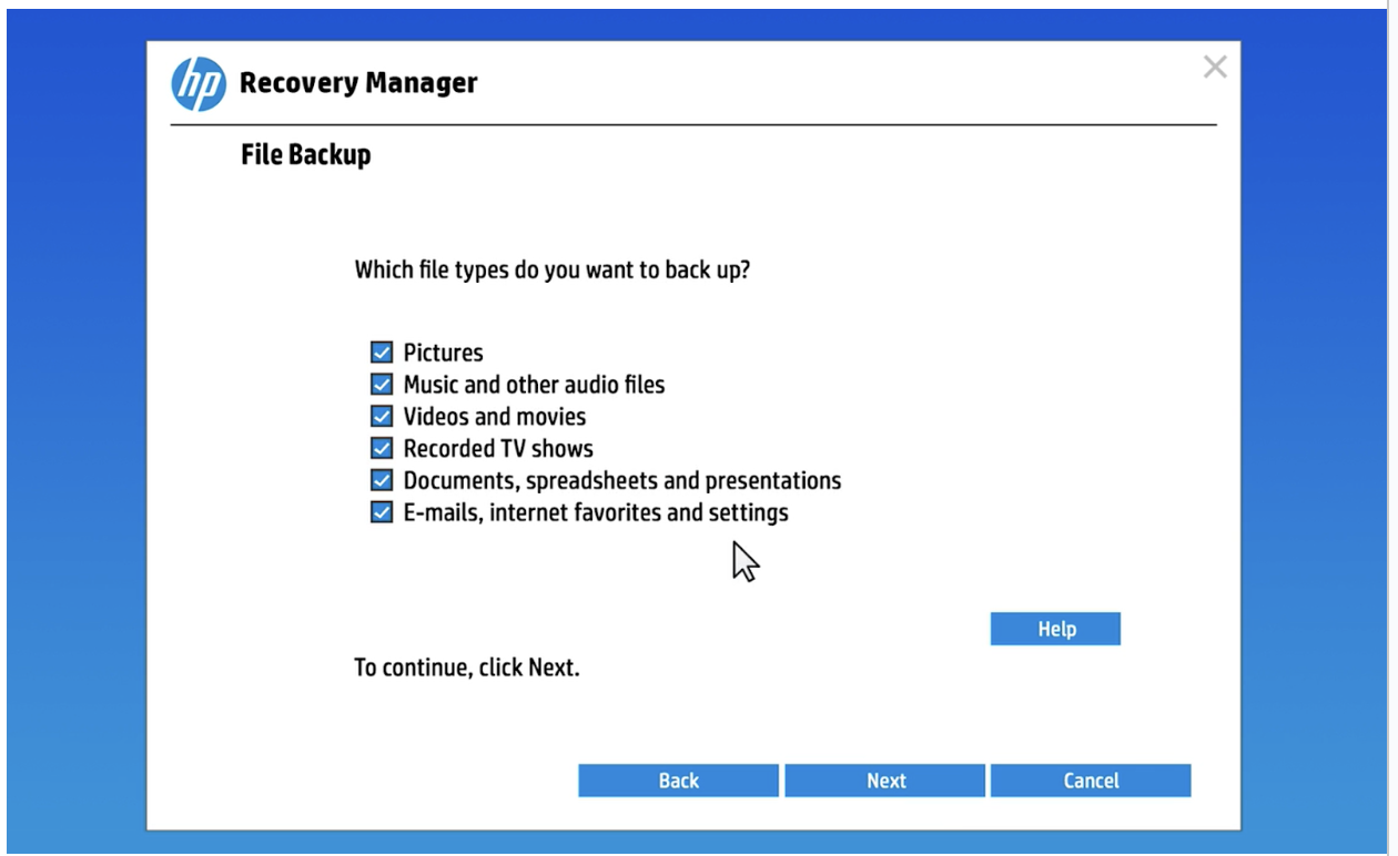 Select the types of files you want to backup if you choose the Auto Selection option